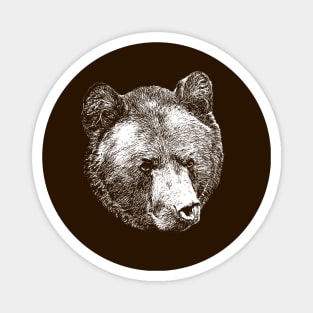 Brown bear portrait Magnet